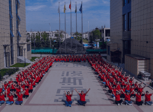 Professional Service