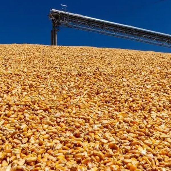 Agricultural packaging